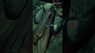 || How and WHERE to Feed the Pelicans || FAR CRY 6 || #trending #viral #farcry6 #shorts || How and WHERE to Feed the Pelicans || FAR CRY 6 || #trending #viral #farcry6 #shorts