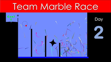 Team Marble Race Day 2