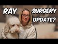 Can Ray have SURGERY to remove the CANCER?