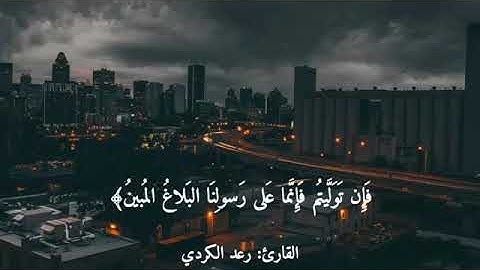 من أجمل التلاوات الهادئة 💓🌷