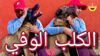 فيلم قصير (إبنة شرطي أرادة كلب لكن صاحبه رفض أن يبيعه لكن الشرطي هدده بأن يأخذه) الإثارة و الظلم