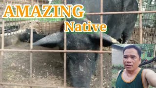 💯AMAZING NATIVE||BABOY NA NATIVE||Mhers Channel25 by Mhers Channel 25 84 views 1 year ago 4 minutes, 25 seconds