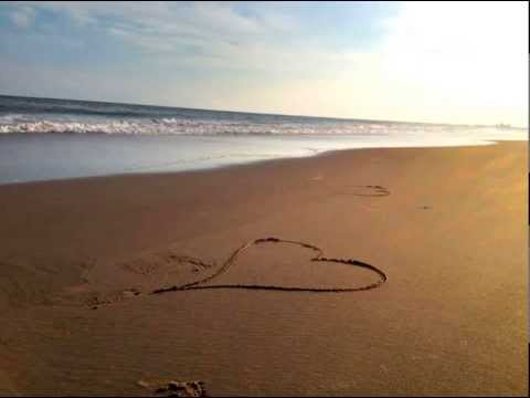 Catalinas - Facts Of Love