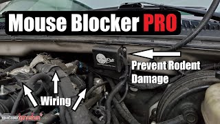 Prevent Mouse/ Rodent Damage to car wiring (Mouse Blocker Pro) | AnthonyJ350