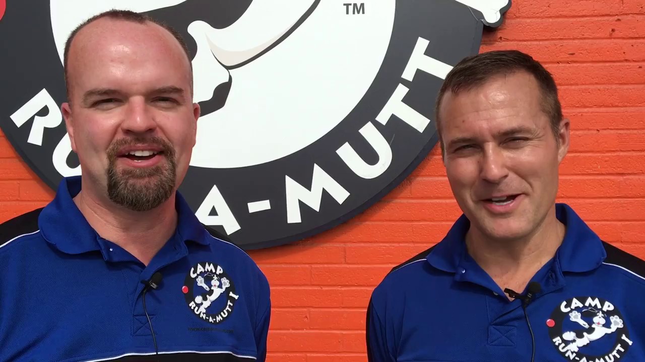 Camp RunAMutt Chula Vista video tour cage free dog daycare and