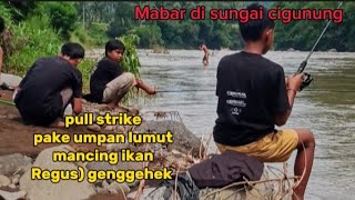 Luar Biasa Pul Strike Mancing Di Arus Deras Pake Umpan Anti Boncos