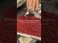 rouge seeds pigment grinding grinder hammer mill pulverizer machine