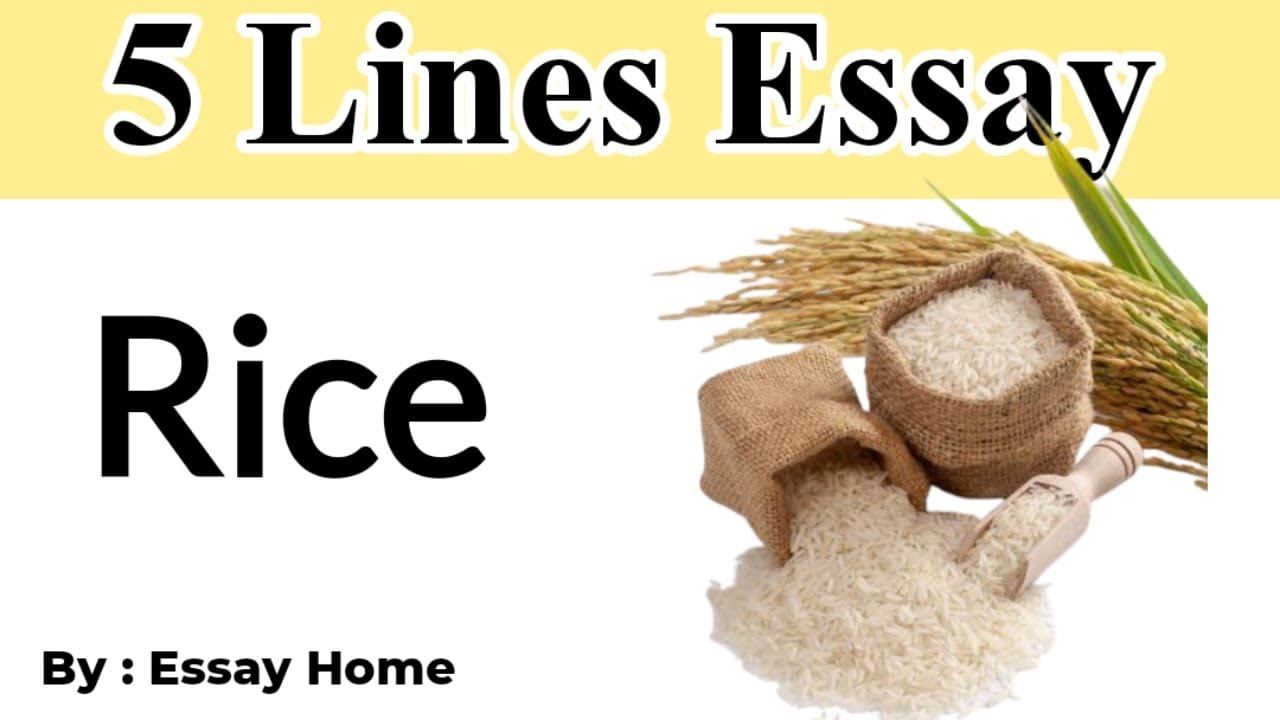 short essay on rice