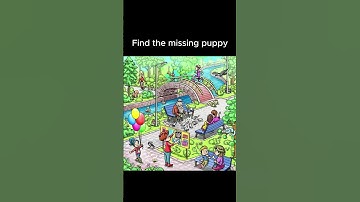 IQ test №27 for visual-spatial perception / #find #iqtest #opticalillusion #quiz #iq #puzzle