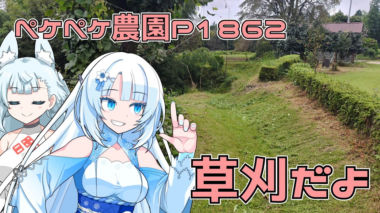 2026年9月27日 日記1862 天気が絶妙な回復をしたので草刈りしてます