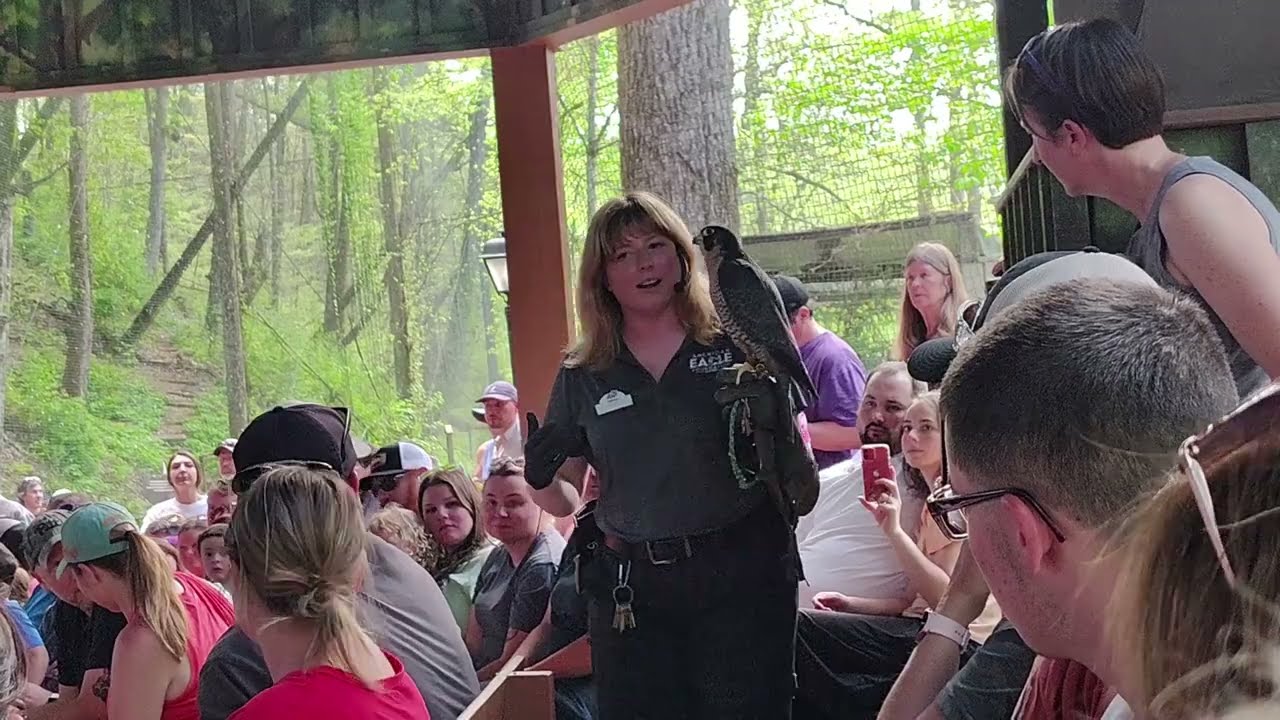 WINGS OF AMERICA DOLLYWOOD SHOW
