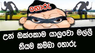 මෛත්‍රීපාල නියම කම්බා හොරු ගැන කියපු සුපිරිම ගීයතය | Chamuditha Samarawikkrama With Horu (හොරු)