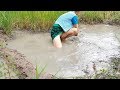 WOW Sexy Girl Fishing at battambang Province in cambodia Traditional Fishing(part80)