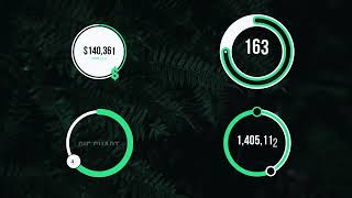 Pie Charts - Infographics | After Effect Template
