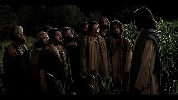 Como Pedro conheceu a Jesus?