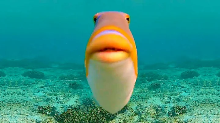 Prismatic Haze by Cirtrax and Gizbro 100% (Extreme Demon)