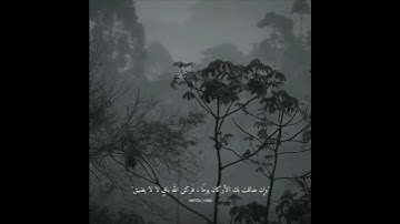 قرآن كريم بصوت عبد الرحمن مسعد - حالات واتس اب دينية - تلاوه تريح القلب 🕊❤