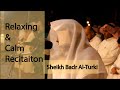 Calm and soothing recitation  sheikh badr alturki  surah alhujurat  light upon light