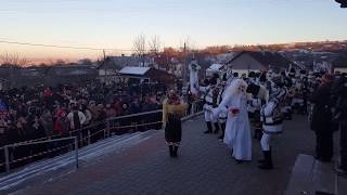 Laura Olteanu - Spectacol obiceiuri de iarnă Bucovina