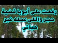 رفعت على أبويا قضية حجر واللى عمله غير حياتي