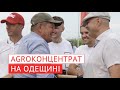 «AGROконцентрат» на Одещині. Вирощування кукурудзи та соняшнику в умовах посухи