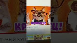 kotiynet сейчас и раньше