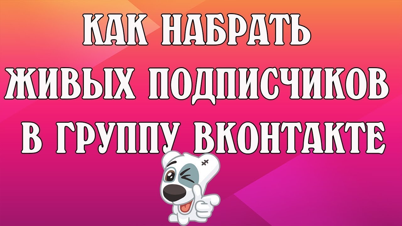 Как набрать живых подписчиков. Накрутка живых подписчиков.