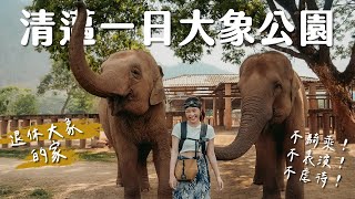 【泰國清邁】愛動物的人必來！近距離接觸上