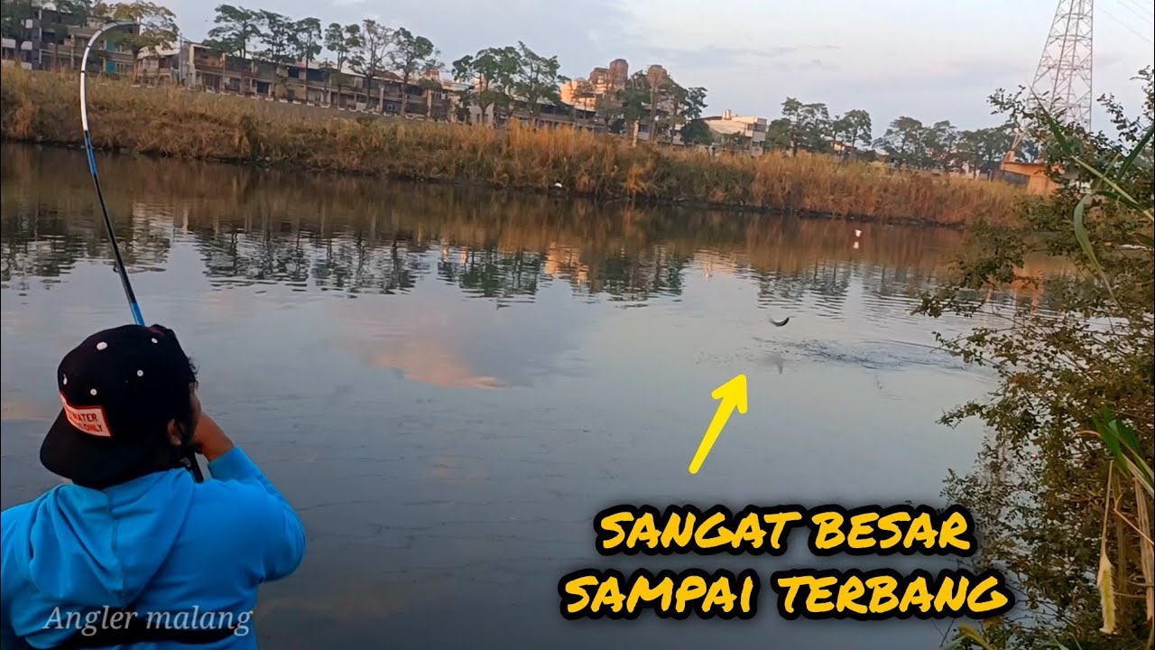 Mancing Bandeng Liar Di Air Payau Dapat Besar