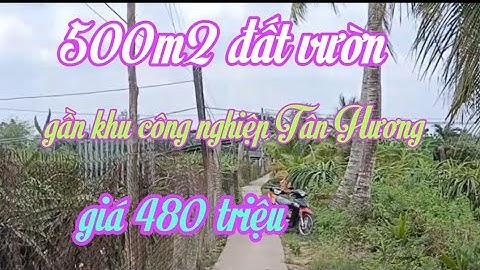 Bán đất vườn gần khu công nghiệp Tân Hương 500 m2 giá 480 triệu
