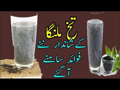 health-tips-of-basil-seeds-in-urdu-hindi|benefits-of-tukh-malanga|tukh-malanga-kay-faiday