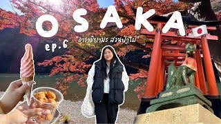 OSAKA🇯🇵 ep.6 พาเดินท่ามกลางสวนป่าไผ่ อาราชิยามะ🎍🎋