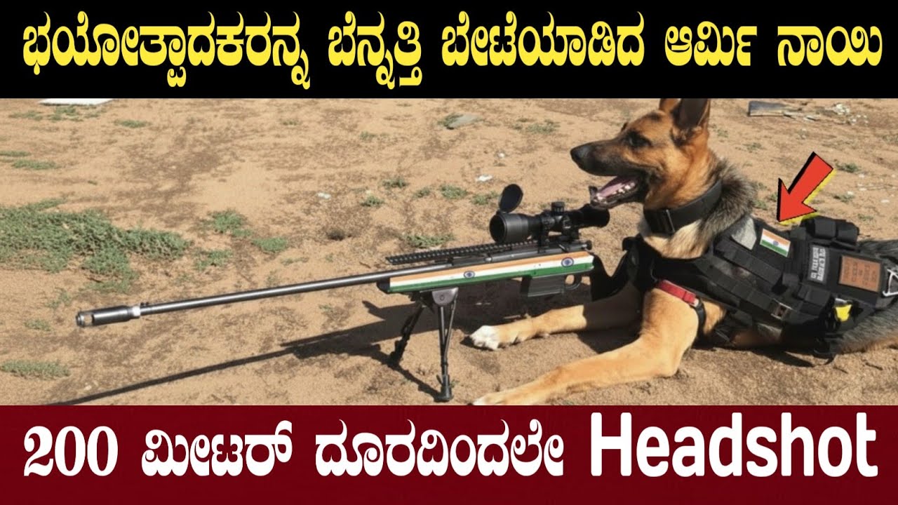 ಈ ನಾಯಿಯನ್ನ ನೋಡಿ ಭಯಪಡುತ್ತಿರುವ ಶತ್ರುಗಳು | Indian Dog Created History in Border | Think Forever 