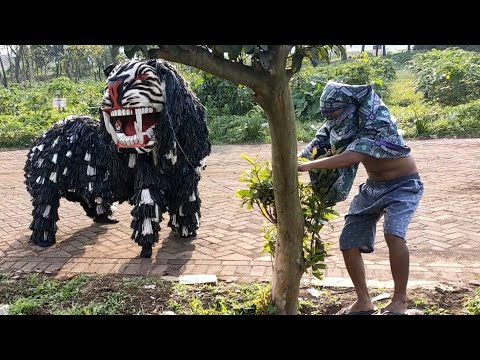 PENCURI MACANAN film pendek