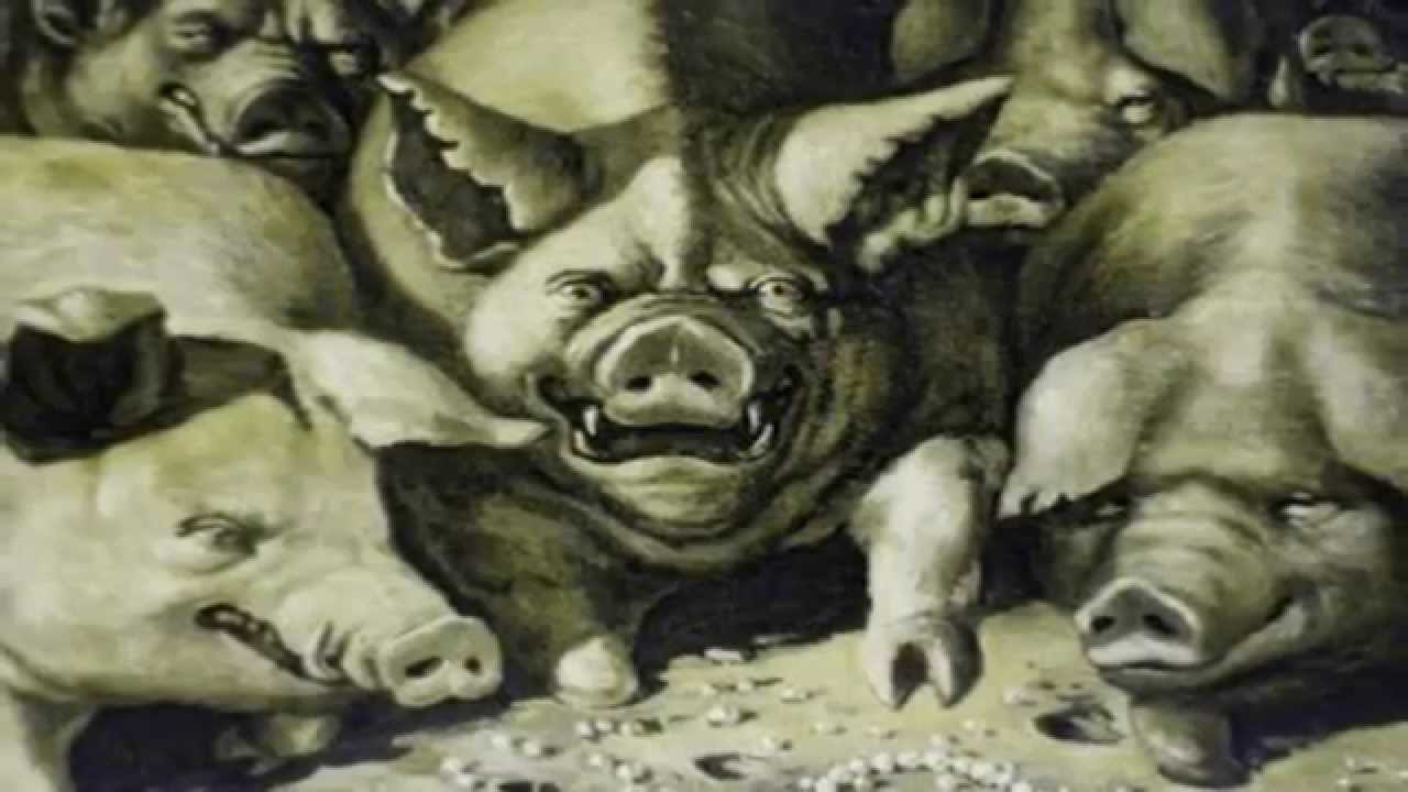 Гоголь свинья. Бисер перед свиньями.