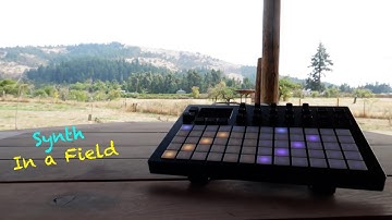 Synth in a Field: The Polyend Synth