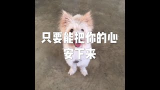 201812 只要能把你的心安下来24057