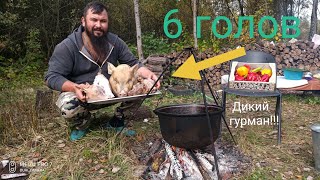 Бюджетный деликатес!!! Как приготовить Головы добавлением🍻 пиво 🐗 🐐 Не реально вкусно💯📌