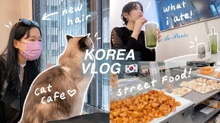 KOREA VLOG: new hair, korean street food in myeongdong, cat cafe, shopping haul