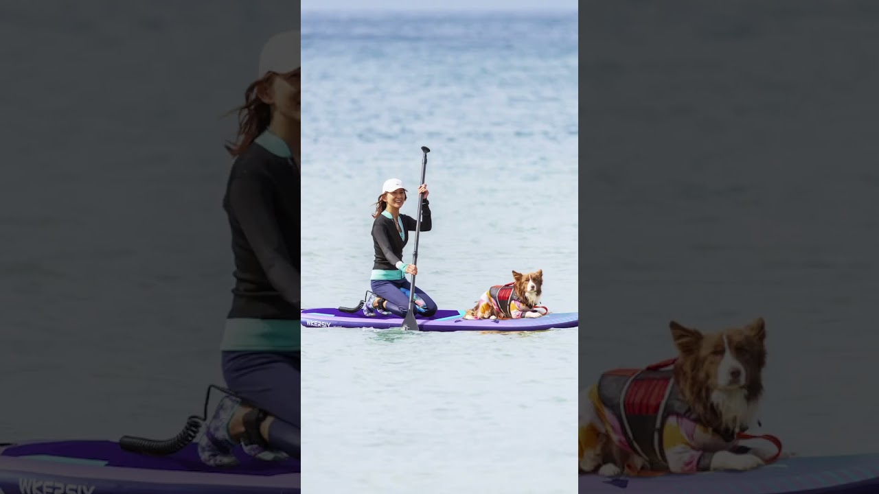 Vibrant Purple 11ft SUP! 🌈 Premium Quality, NOW 166(Was166(Was256) 🎉 