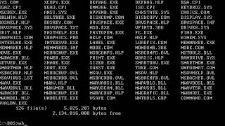 Virus.DOS.Avalon