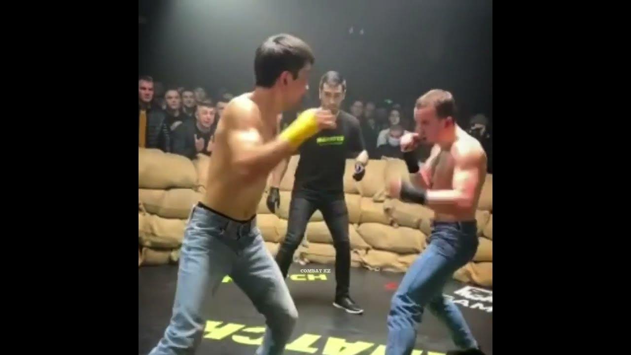 Лев нокаутировал