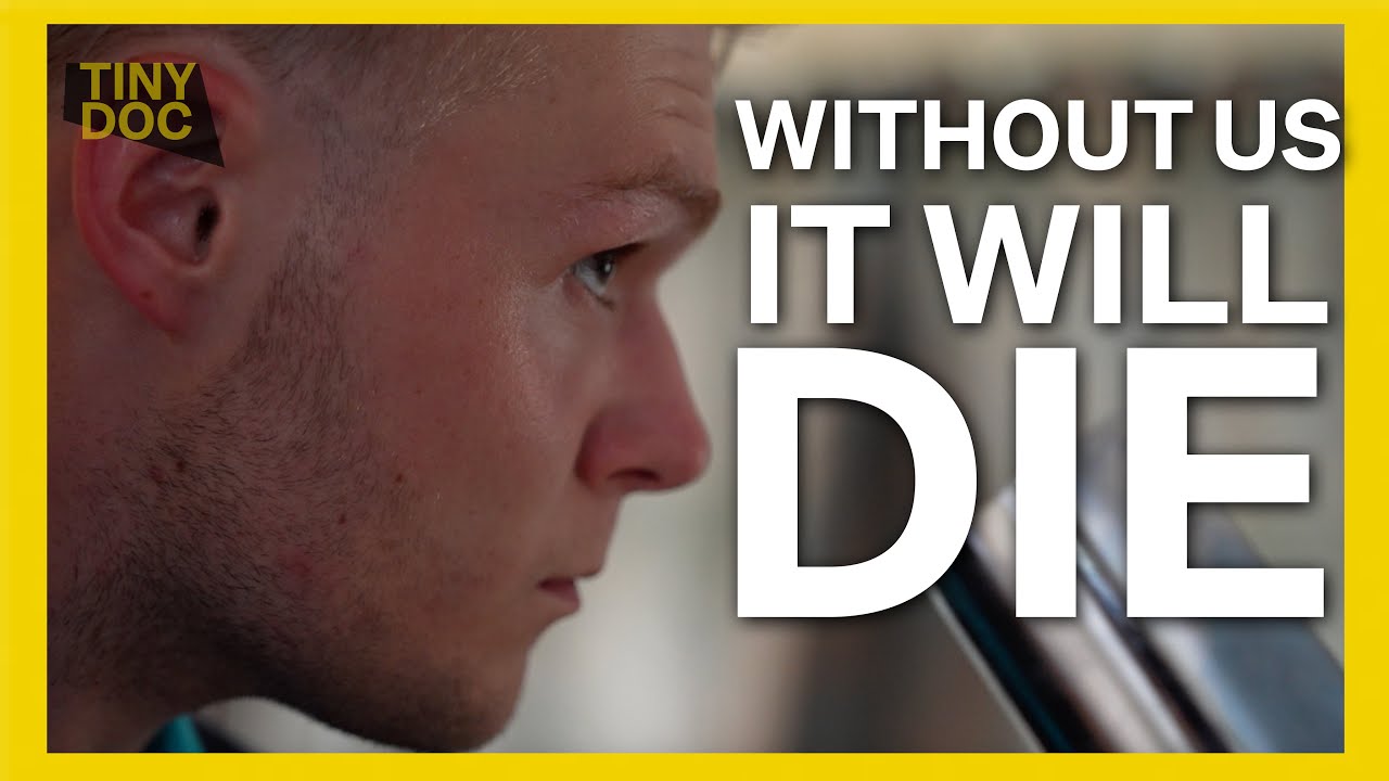 UK Rockabilly: Trying to save a shrinking subculture