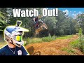This New Backyard Pitbike Track Is EPIC!!