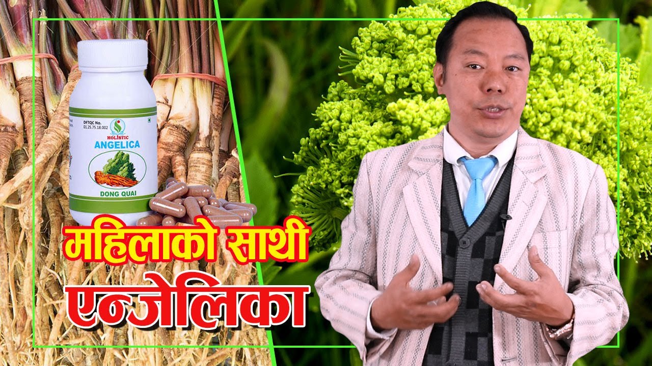 महिलाको साथी एन्जेलिका | Angelica | DRDB | Dr DB Sunuwar | Holistic