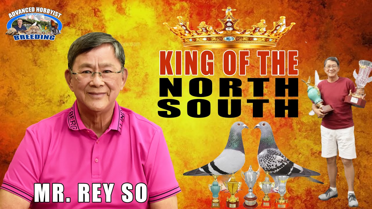 PART 4 | MR. REY SO "THE KING OF THE NORTH AND SOUTH RACE "