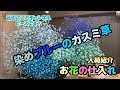 【花屋】入荷紹介!4種のブルーのカスミ草だけで花束にしてもいいね!#703