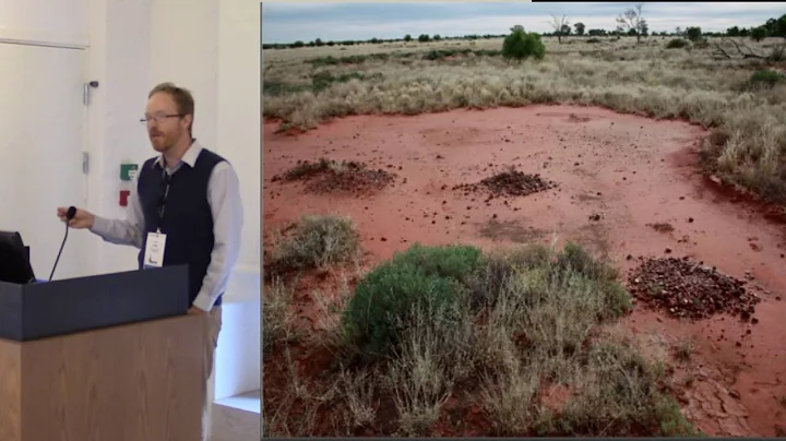 Simulation as middle–range research