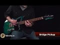 Banning Guitars "Betty Mae" and Porter 9T Pickups