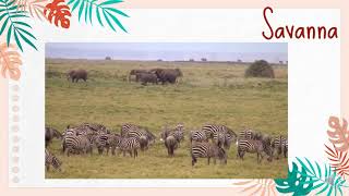 Gr. 2 Science: unit 3, lesson 4: Land Habitats